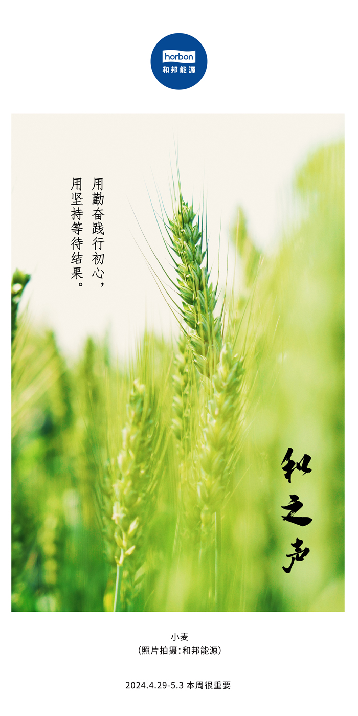 【和之声】用勤恳践行初心，用对峙期待了局。（总第132期）2024.4.29-5中文改幼季度推送用.jpg