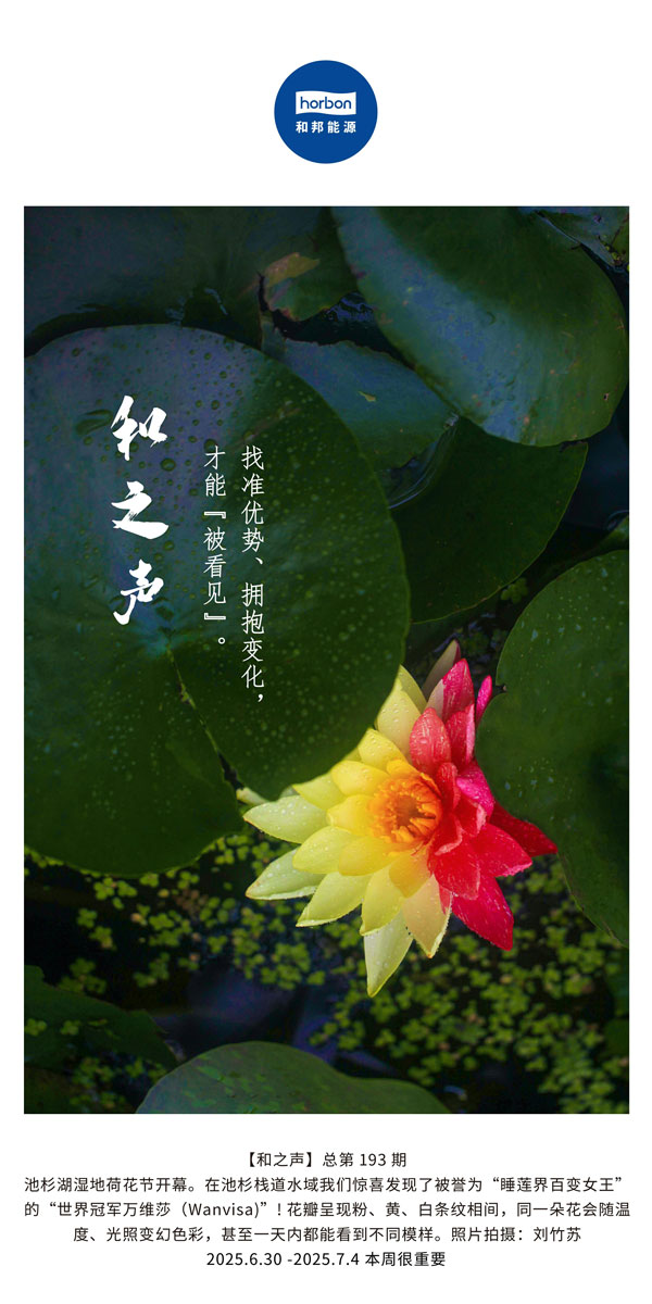 【和之声】找准优势、拥抱变动，能力“被看见”。(总第193期）--2025.6中文导出季度推送用.jpg