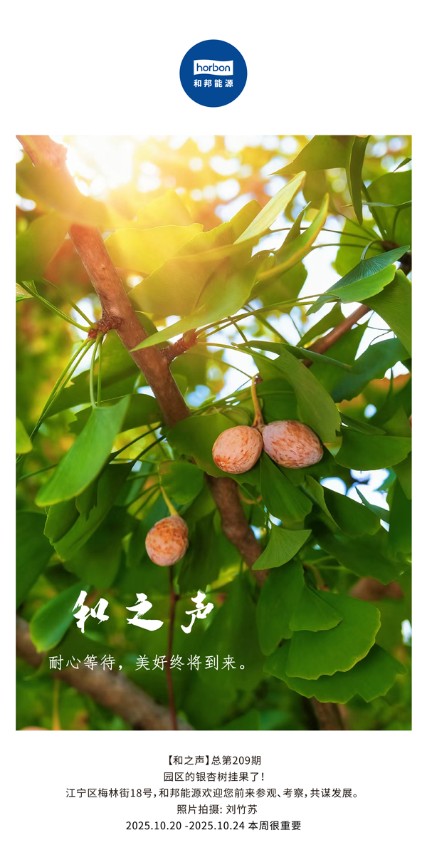 【和之声】耐心期待，美好终将到来。-(总第209期）2025.10.20中文导出季度推送用.jpg